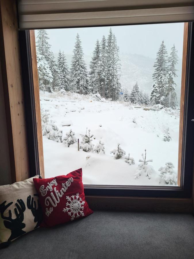 Hillview Jasna Chalet Dolina Demianowska Zewnętrze zdjęcie